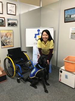 日本介助犬協会の本部事務所を訪問しました